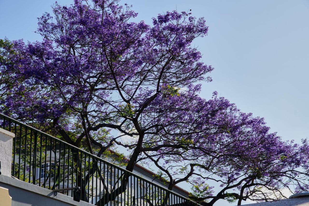 Ferienwohnung Ribeira Funchal Center Exterior foto